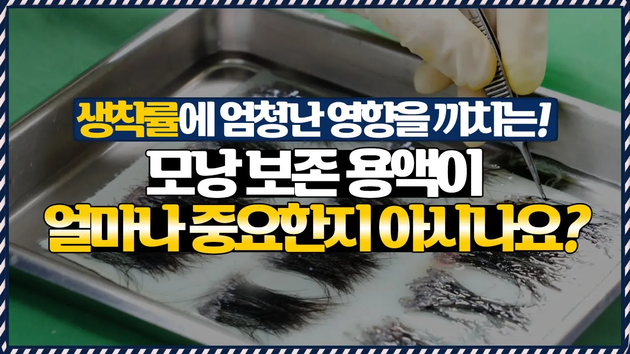 의느님답변📂#모낭보존용액 🧪이 #모낭생착률 에 미치는 엄청난 영향..ㄷㄷㅣ다나성형외과(DANA)ㅣ모발이식ㅣ헤어라인교정ㅣ두피문신ㅣ탈모치료