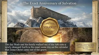 THE ARK OF SALVATION--Entering Your Divine New Beginning