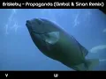 Briskeby   Propaganda Gimbal & Sinan Remix