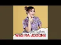 Download Lagu Wes Ra Jodone