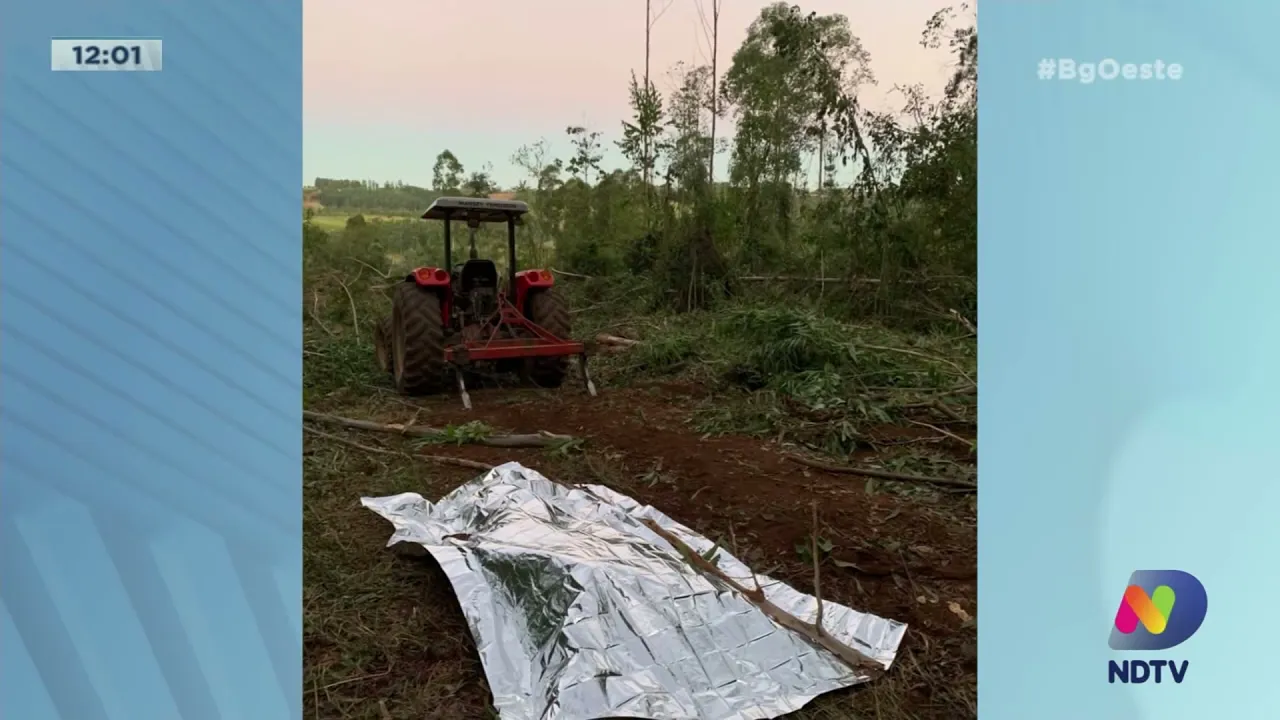 Mondaí: trabalhador morre após de ser atingido por árvore