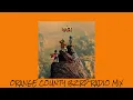 Gorillaz - Orange County (Feat. Bizzarap, Kara Jackson, Anoushka Shankar) - [Enhanced] 