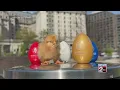 Chicks eggs ready for White House Easter Egg Roll