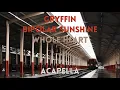 Gryffin, Bipolar Sunshine - Whole heart (Acapella)