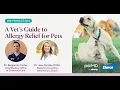A Vet s Guide to Allergy Relief in Pets