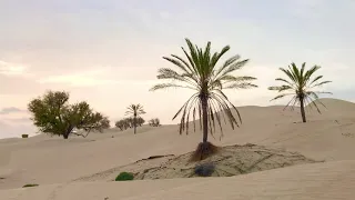 بلبلی نالان رستم میر لاشاری 