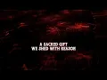 ANNISOKAY - HUMAN (Lyrics)
