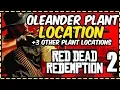 Red dead redemption 2 - Oleander Plant Location and 3 Other Important Plant Locations