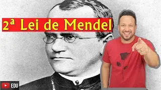 2ª Lei de Mendel - Genética - Biologia com o Tubarão