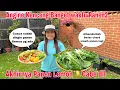 Download Lagu Akhirnya Panen Lemon dll di cuaca dingin dan Angin Topan 😅