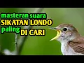 Download Lagu Masteran mp3 sikatan londo / nightingale 25 menit untuk burung murai kesayangan anda ||harian/gacoan