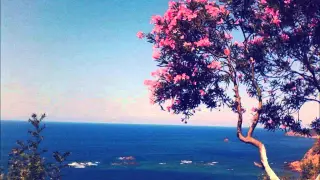 Cheb Aziz Staifi Duo Samir Sghir Wechi Sabarni 