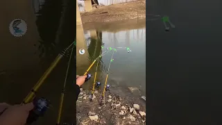 احلى شعور للصياد لما يدق جرس السنارة 