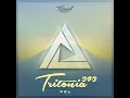 Always Will (Tritonia 393) (Mees Salomé Remix) (feat. Nathan Nicholson) - Tinlicker