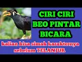 Download Lagu ciri ciri burung beo pintar bicara