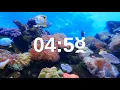 Download Lagu 5 Minute Timer Relaxing Music Lofi Fish Background