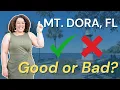 Is Mount Dora FL the Perfect Place to Live Pros Cons Revealed