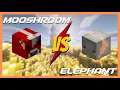 Mooshroom Cow Vs Elephant Pet Garden 1 5 Hypixel Skyblock