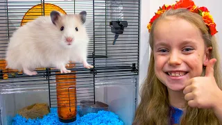 We Got a NEW PET Hamster! 🐹 First Day Home