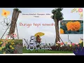 Download Lagu Bunga Tepi Sawah Sekartama Waterland Nawangsari Weleri Kendal Jawa Tengah Spot Foto Savva Coffe