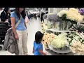 Day trip to Woodfield Mall and Hmart in Schaumburg IL 2026