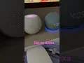 Download Lagu Alexa vs Siri 1 #FYP #Trending #alexa #tech #smartphone #amazon #amazonfinds