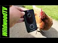 Doorbell Setup free cloud storage for a while