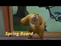 Download Lagu Boonie Bears or Bust 🐻 Spring Board