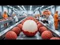 Lagu Inside a Modern Lychee Factory: From Farm to Delicious Dried Fruit (Full Manufacturing Process)