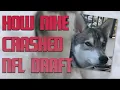 Linda Holliday Shares How Bill Belichick s Dog Nike Crashed 2020 NFL Draft