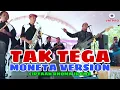 Download Lagu TAK TEGA - RHOMA IRAMA | VERSI MONETA @sadewo_production  (Live Cover)