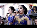 Download Lagu FULL SRAGENAN PERTELON KEMUNING - TLINGSINGAN Campursari SEMAR  MULYO