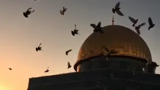 يا عاشقين هذا الوطن للعاشقين فرقة العاشقين  يا عاشقين هذا الوطن للعاشقين فرقة العاشقين
