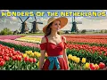 Download Lagu Wonders of the Netherlands 🇳🇱🌷 | The Most Amazing Places in the Netherlands - Travel Video 4K