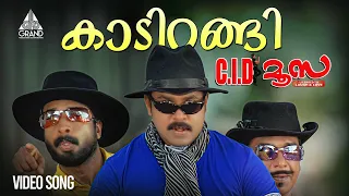kaadirangi video song c i d moosa dileep salim kumar vidyasagar