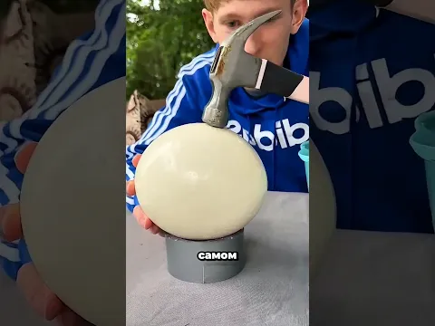 Самое прочное яйцо в мире! 🤯🥚