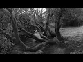Download Lagu FLŌD - Chimeras