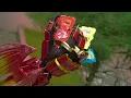 Download Lagu KAMEN RIDER SABER OOO - IF KAMEN RIDER OOO HENSHIN WITH WONDER RIDEBOOK