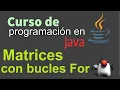 Java Course from Scratch ARRAYS WITH FOR LOOP 41