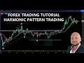 Forex Trading Tutorial - Harmonic Pattern Trading
