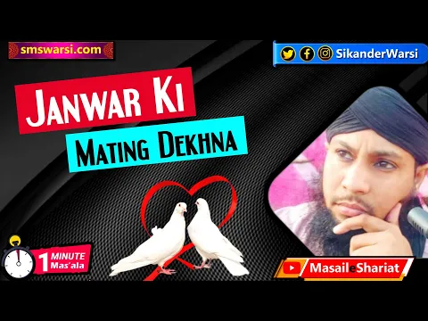 janwar ki mating ki video dekhna | parido ki mating dekhna kaisa | #shehwat video #OneMinuteMasail