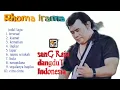 Download Lagu BEST OF THEBEST - TERSESAT - Rhoma Irama Full Album