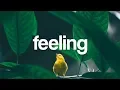 Download Lagu Subspace - Feeling (ft. Adeline Um) [Lyrics video] (Magic Free Release)