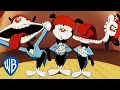 Lagu Animaniacs | The Burpee Song | Classic Cartoon | WB Kids