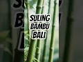 Suling bambu bali #shorts