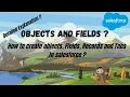 What are Objects and Fields in Salesforce How to create Objects Fields Tabs and Records
