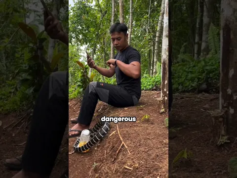 snake bite you :🐍😱