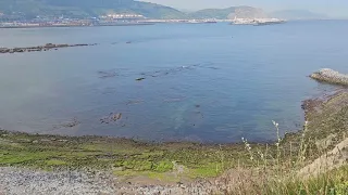 Arrigunaga  Arrigunaga