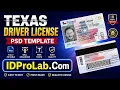 Texas Driving License PSD Template Photoshop Instant Download Guide