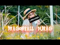 Download Lagu Dragonball Durag (Japanese Response version) SHALA